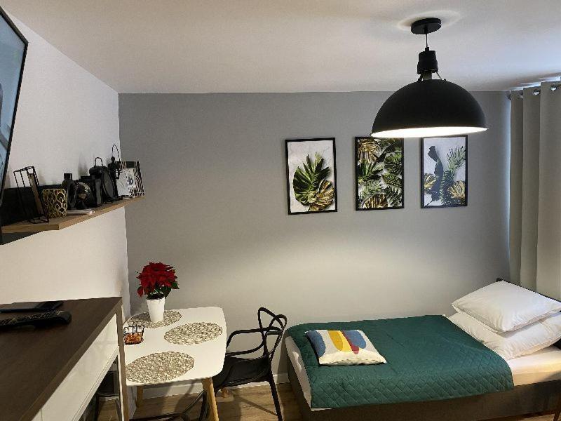 Apartamenty Blogi Sen Ii- Komfortowy Nocleg W Spokojnej Lokalizacji ザブジェ エクステリア 写真